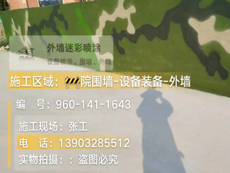 青海 迷彩漆喷涂价格（按平方米计费）